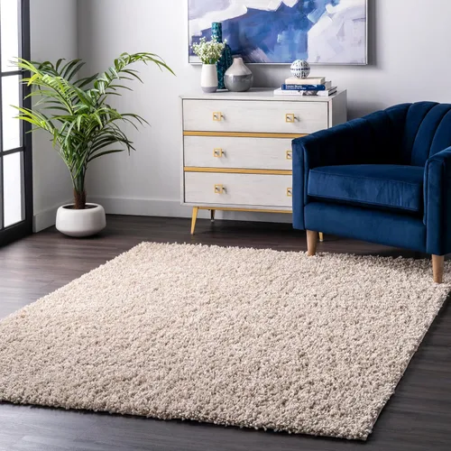 nuLOOM Kara - Alfombra de pelo largo liso, 2 x 3 pulgadas, casual, color beige, para sala de estar, dormitorio, comedor, guardería, entrada