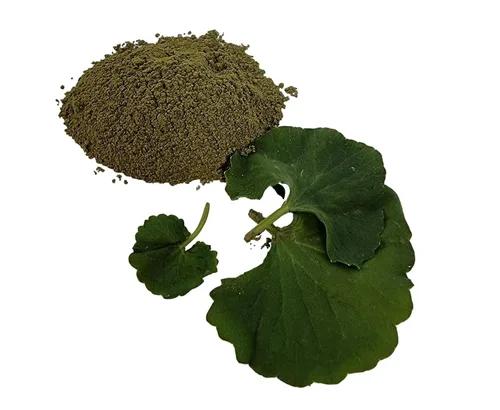 Miniatura 5 de Gotu Kola en polvo, hecho de centella asiática 100% - Pure, Natural Asiatic Pennywort/Indian Pennywort - Peso neto: 1.76 oz/50 g