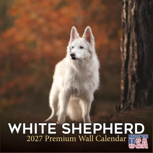 Miniatura 37 de Calendario amarillo 2025 2026 de Labrador Pups – Calendario mensual de pared de raza de perro – 12" x 24" abierto – Papel grueso anti-traspaso