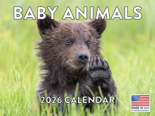 Miniatura 59 de Calendario alpaca 2026, calendario mensual de pared de 12 meses Hecho en Estados Unidos.