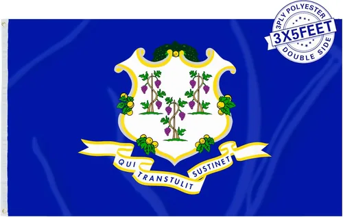 Miniatura 8 de AMZFLAG Wyoming State Flag 3x5 ft Outdoor, Heavy Duty WY Wyoming Flags with 2 Brass Grommets, Patriotic Double Sided State of Wyoming Flag 3 Ply