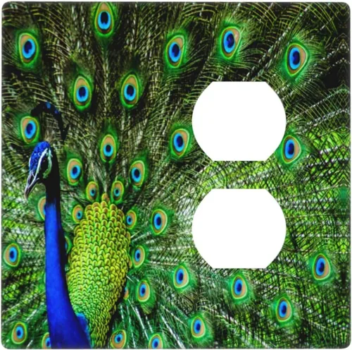 Miniatura 17 de Cubierta decorativa para toma de corriente de pavo real, cubierta de salida de 1 banda, cubierta de placa de interruptor de luz, placas de 1