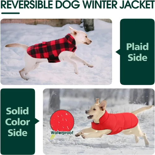 Miniatura 4 de Kuoser - Abrigo de invierno para perro de estilo británico, resistente al viento, ropa para perros, chaquetas para perros, chaleco para perros Rojo