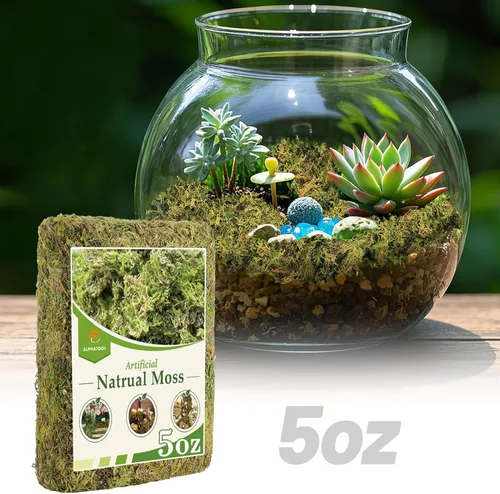 Alphatool Musgo verde natural de 5 onzas para principiantes, musgo de inicio para plantas de interior, jardines de hadas artificiales, mini 5 oz