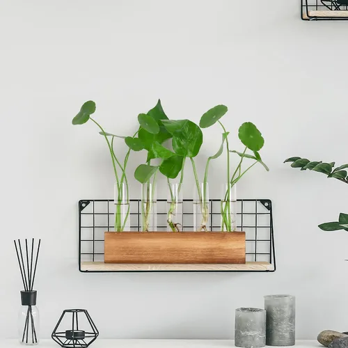 Miniatura 5 de Estaciones de propagación YIBOT, terrario de plantas con soporte de madera, regalos de jardinería de cumpleaños para mujeres, madres amantes