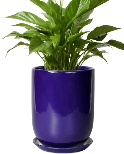 Miniatura 17 de Maceta de Cerámica para Plantas de Interior de 5 Pulgadas - Maceta Redonda para Plantas Suculentas con Agujero de Drenaje y Platillo, Decoración