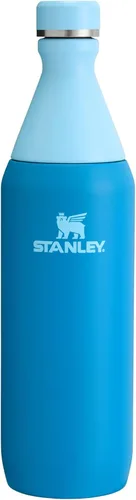 Miniatura 9 de Stanley All Day - Botella delgada de 20 onzas, tapa giratoria con sello a prueba de fugas, diseño delgado para viajes y gimnasio, acero inoxidable