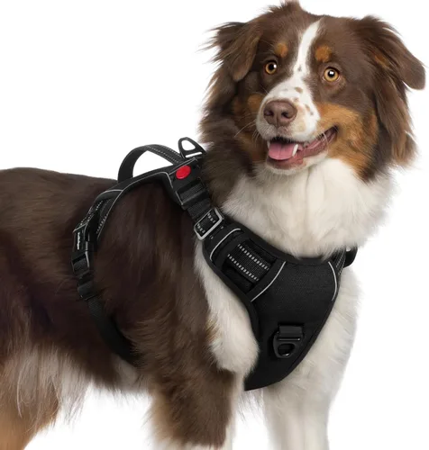 Miniatura 21 de rabbitgoo Arnés para perro de tamaño pequeño, arnés para mascotas sin tirones con mango acolchado suave, chaleco reflectante ajustable con 3