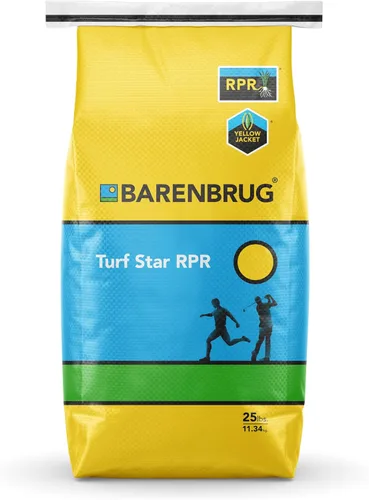 Barenbrug Turf Star Semillas de césped regeneradoras de raigrás perenne con revestimiento Yellow Jacket, mezcla de semillas de césped de acción
