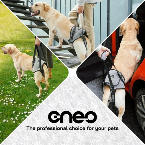 Miniatura 6 de Arnés de elevación Cneo para perros, cabestrillo para perros medianos y grandes, arnés ajustable para perros para patas traseras, arnés