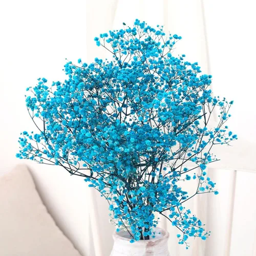 Miniatura 3 de Ramo de flores secas de aliento de bebé, 17 pulgadas, más de 2500 flores secas azules, ramas de gypsophila naturales para bodas, decoración de D-blue