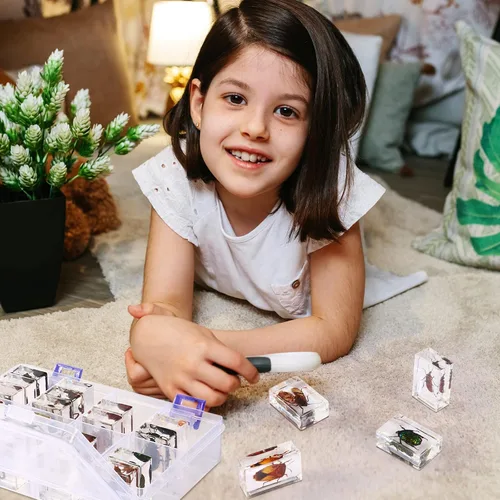 Miniatura 4 de Juego de 20 muestras de insectos en resina, colección de insectos, pisapapeles, arácnidos, resina de arácnidos, diferentes tipos o tamaños, insecto
