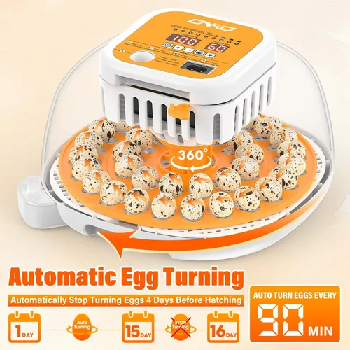 Miniatura 3 de 36 incubadoras de codorniz para incubar huevos, incubadora de huevos de codorniz con giro automático de huevos y control de humedad, control