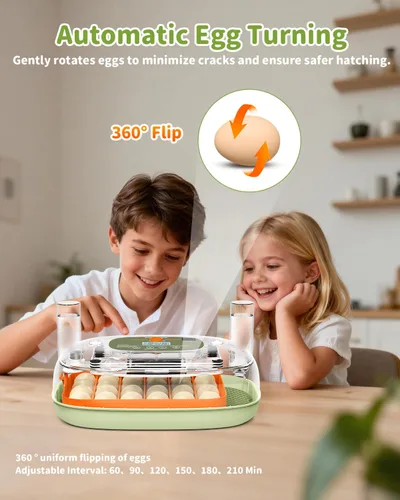 Miniatura 4 de Incubadora de huevos para 24 huevos de pollo con volteador automático, control digital de temperatura y pantalla de humedad, ovoscopio, incubadora