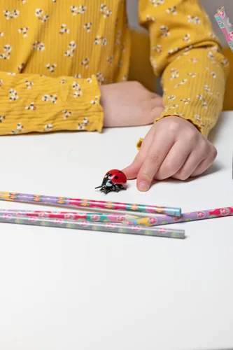 Miniatura 2 de Papo - Figura realista de mariquita - A partir de 3 años - Colección de animales de jardín - Mundo educativo de insectos - Juguete de idea de regalo