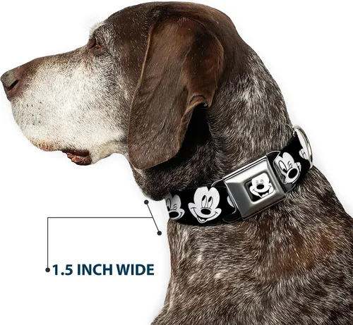 Miniatura 7 de Buckle-Down Collar de perro con hebilla de cinturón de seguridad, dálmatas para correr, patas, negro, gris, blanco, negro, 1.5 pulgadas de ancho, se