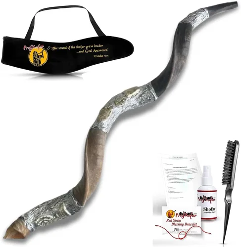Miniatura 6 de Kosher Kudu Shofar de Israel, plata de ley 925 con chapado en oro, firmado oficialmente certificado yemenita Kudu Shofar, fabricado en Israel