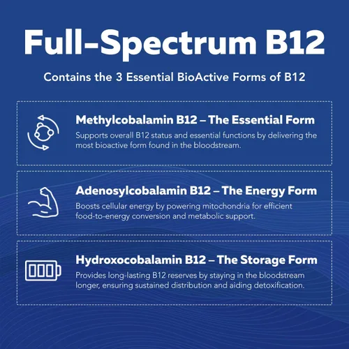 Miniatura 6 de BioActive Complejo de vitamina B, listo para el flujo sanguíneo, complejo B metilado, con metilfolato, 3 formas bioactivas de B12, BenfoPure® B1