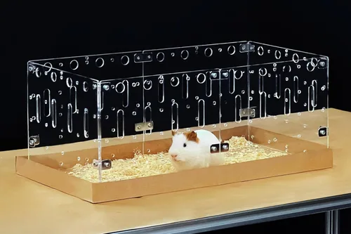 Miniatura 8 de GuineaLoft™ Model-A - Jaula acrílica para conejillos de indias – Jaula grande expandible de 4 x 2 pies, funciona también para pequeños animales