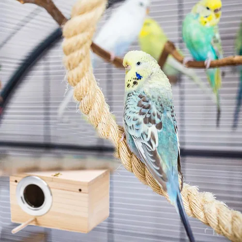Miniatura 6 de Hiceeden Paquete de 2 cajas nido de periquitos, caja de anidación de pájaros de madera natural, caja de cría de pájaros pequeños para tortolitos
