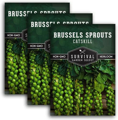 Miniatura 11 de Survival Garden Seeds - Semillas de coles de Bruselas Catskill para plantar - Paquete con instrucciones para plantar y cultivar sabrosas verduras