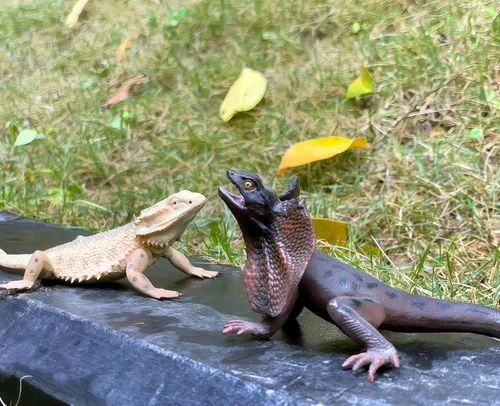 Miniatura 5 de Gemini&Genius Juguetes de lagarto, figuras de lagarto de dragón barbudo, regalo de accesorios de broma, juego aterrador, divertido adorno de pastel