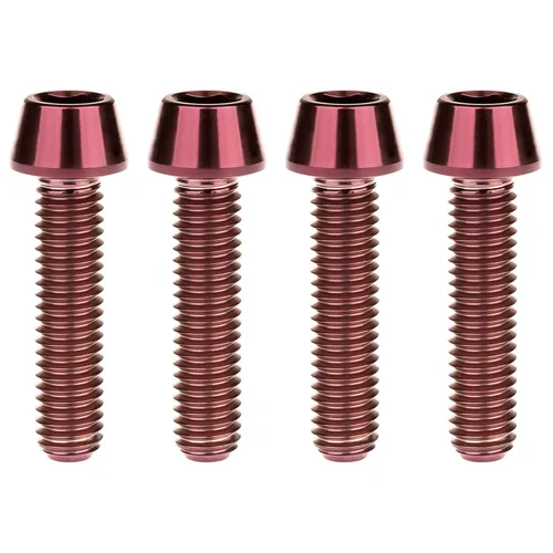 Miniatura 112 de Titanio Ti M6 x 10 16 18 20 25 30 35 40 45 50 55 60 2.559 in Allen - Tornillos hexagonales de 2.559 in, tornillos cónicos, paquete de 4