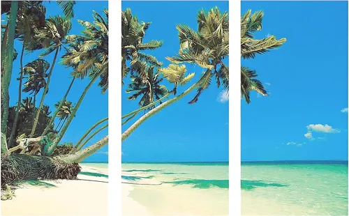 Fun Express - Pancarta de fondo de playa tropical (3 piezas ensambladas para hacer 1 telón de fondo) para fiesta - Decoración de fiesta - Decoración