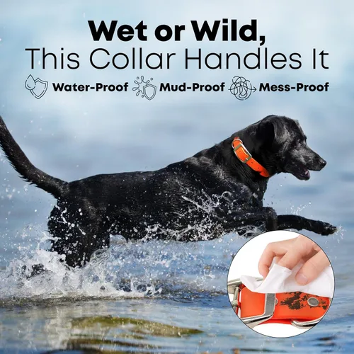 Miniatura 3 de Collar impermeable para perro con anillo central resistente Collar para perros pequeños, medianos, grandes o XL, Anaranjado