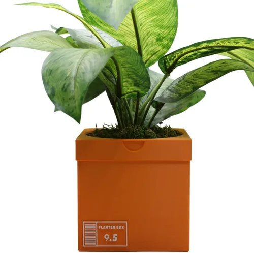 Maceta de Caja de Zapatillas Deportivas Impresa en 3D - Decoración de Caja de Zapatillas Deportivas Naranja - Maceta para Plantas de Interior -