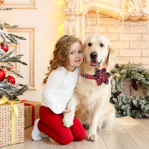 Miniatura 5 de Malier Collar de Navidad para perro con flor, clásico collar de perro a cuadros de búfalo con hebilla, collares de Navidad ajustables con pajarita