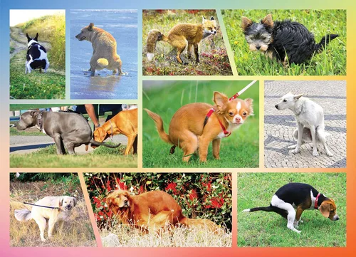 Rompecabezas de 100 piezas de perros haciendo caca para niños - Divertido rompecabezas de cachorritos haciendo caca, gran regalo para amantes de