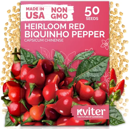 Miniatura 21 de KVITER 3100 semillas de zanahoria tiernas para plantar (Daucus carota) - Semillas de vegetales sin OMG para jardín al aire libre - Zanahorias dulces