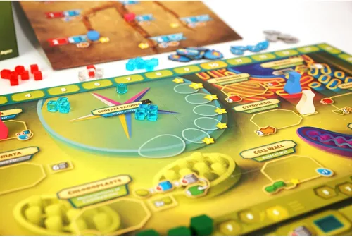 Miniatura 2 de Celulosa: un juego de biología celular vegetal Mensa recomienda un juego estratégico y entretenido para aprender fotosíntesis, ADN y bioquímica