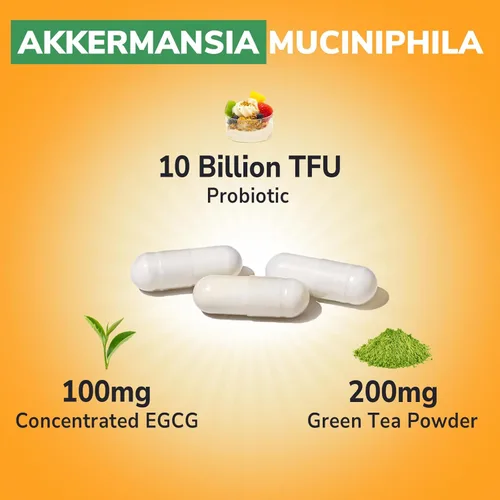 Miniatura 3 de Vitalibre Akkermansia Probiótico 10 mil millones de TFU, con EGCG concentrado de extracto de té verde, suplemento GLP-1 para la salud intestinal
