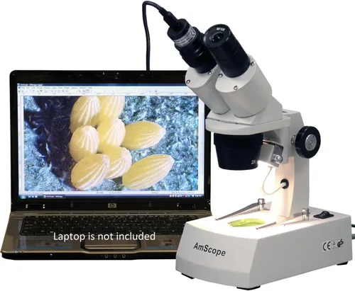 Miniatura 4 de AmScope SE305R-A-E Microscopio estéreo binocular digital montado hacia adelante, oculares WF10x, aumento 10X/30X, objetivos 1X y 3X, fuente de luz