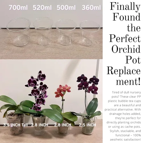 Miniatura 5 de Maceta Transparente de Bricolaje para Orquídeas – Macetas Tipo Taza de Té de 3.5 Pulgadas y Cubiertas Elegantes para Phalaenopsis, Suculentas