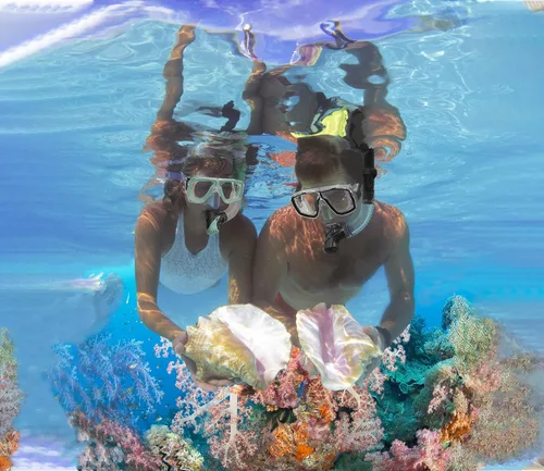 Miniatura 2 de Equipo de esnórquel para adultos con aletas, equipo de buceo profesional para adultos, juegos de esnórquel de viaje con aletas, máscara de buceo