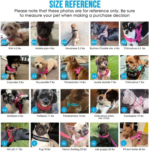Miniatura 8 de Arnés para perro Lukove sin tirón y juego de correa, arnés suave acolchado para perros pequeños, arnés reflectante ajustable en cuello y pecho