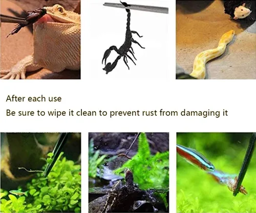 Miniatura 6 de 2 pinzas largas de acero inoxidable para reptiles de 10.5 pulgadas, pinzas de alimentación, lagartos serpiente, gecko y tarántula, terrarios