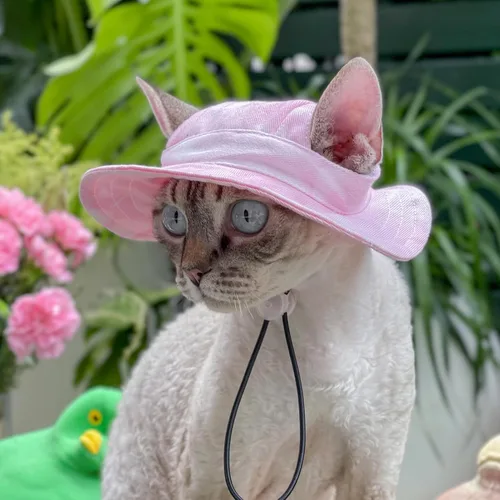 Miniatura 2 de Sombrero para mascotas con agujeros para las orejas, protector solar, gorra de béisbol adecuada para perros pequeños y medianos, sombrero de Rosa