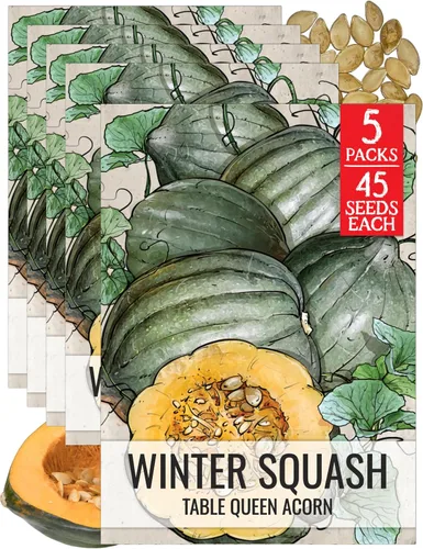 Miniatura 27 de Seed Needs Semillas de calabacín para plantar calabaza de verano Black Beauty, sin OMG, reliquia y sin tratar, rendimientos prolíficos de deliciosos