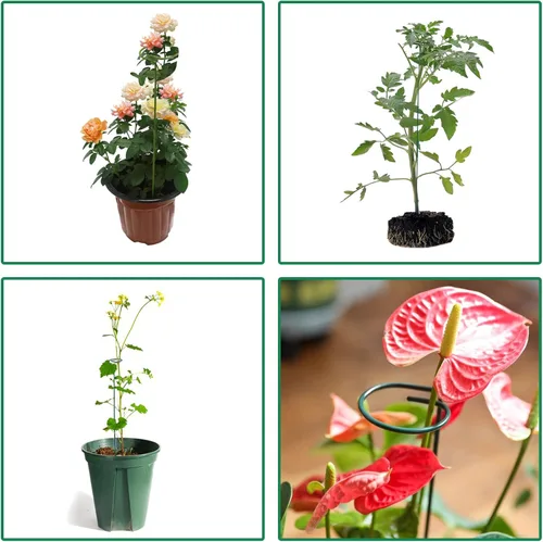 Miniatura 5 de PFNRTH Paquete de 12 estacas para plantas, estacas de soporte para plantas de dos tamaños (16 o 32 pulgadas), estacas para plantas al aire libre