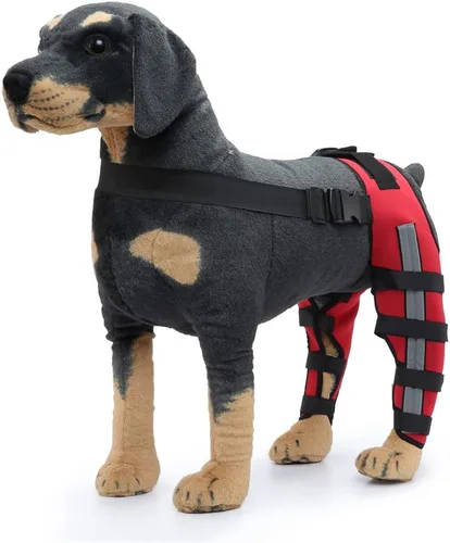 Rodillera ajustable para perro con doble pierna trasera con bisagras de metal soporte flexible y cinturones de seguridad reflectantes, soporte para