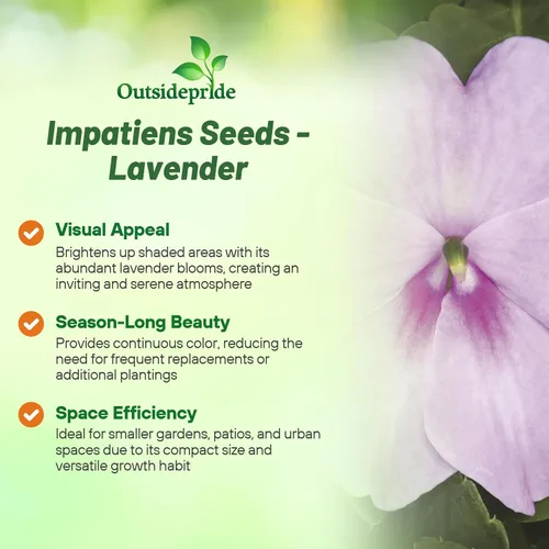 Miniatura 3 de Outsidepride 200 Semillas Impatiens Plant Lavender Shade Garden Flower Seeds para plantar