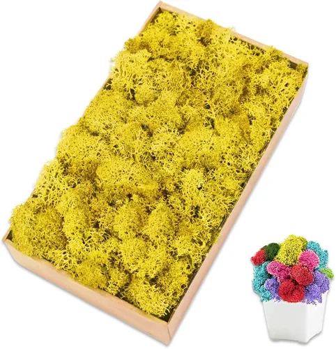 Miniatura 26 de Musgo de reno amarillo preservado de 3.5 onzas para plantas en maceta, decoración artesanal para arte de pared, musgo falso para decoración