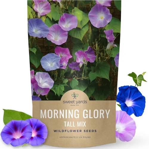 Morning Glory Tall Mix - Bolsa a granel de 1/4 libra - 3,000 semillas de flores para plantar - Ipomoea purpurea