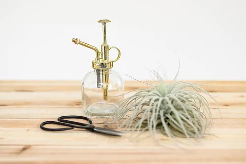 Miniatura 3 de Regadera de cristal para plantas – Botella de spray de 8 onzas de oro para plantas – Regadera con una sola mano para plantas