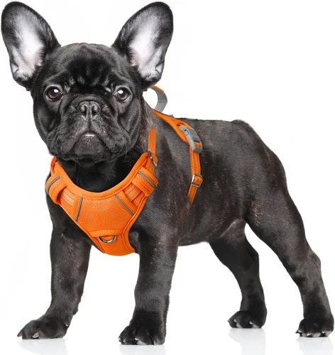 Miniatura 52 de BARKBAY Arnés para Perro Sin Tirones Talla Grande Arnés Reflectante para Perro con Clip Frontal y Asa de Control Fácil para Caminar Entrenar Correr