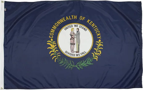 Miniatura 63 de FlagSource Bandera del estado de nailon de Iowa, fabricada en los Estados Unidos, 4 x 6 pies Iowa 4x6